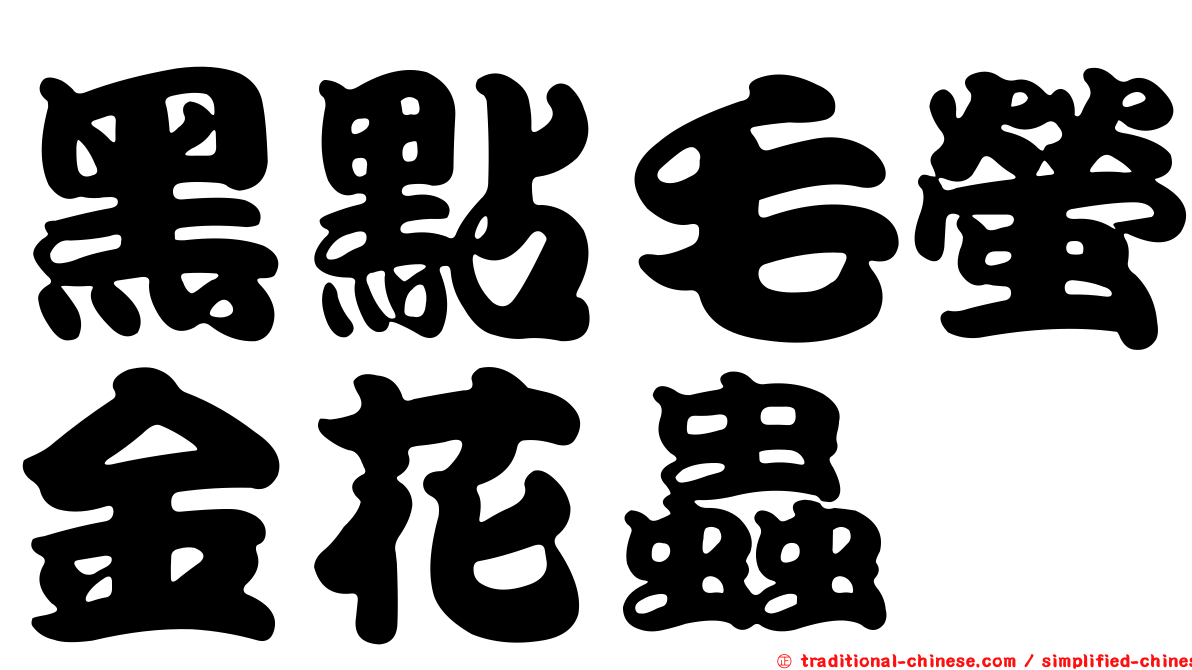 黑點毛螢金花蟲
