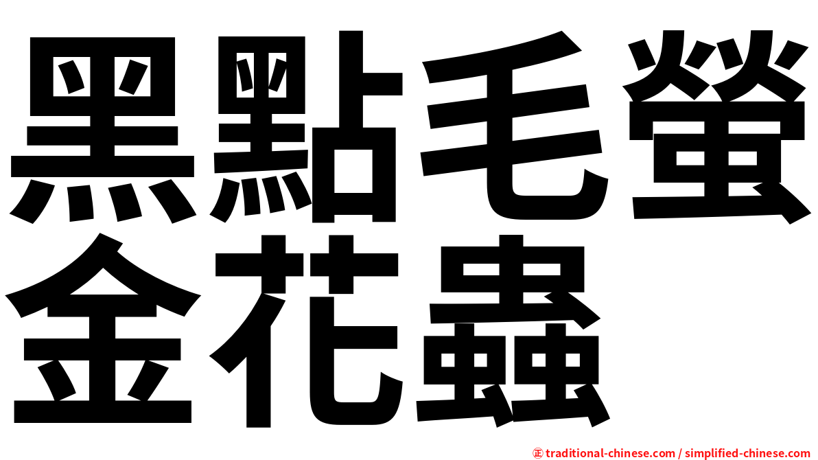 黑點毛螢金花蟲