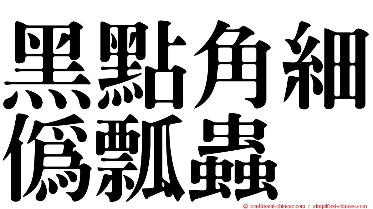 黑點角細偽瓢蟲