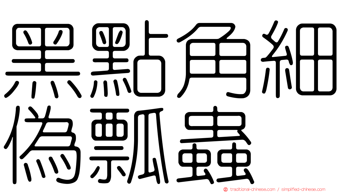黑點角細偽瓢蟲