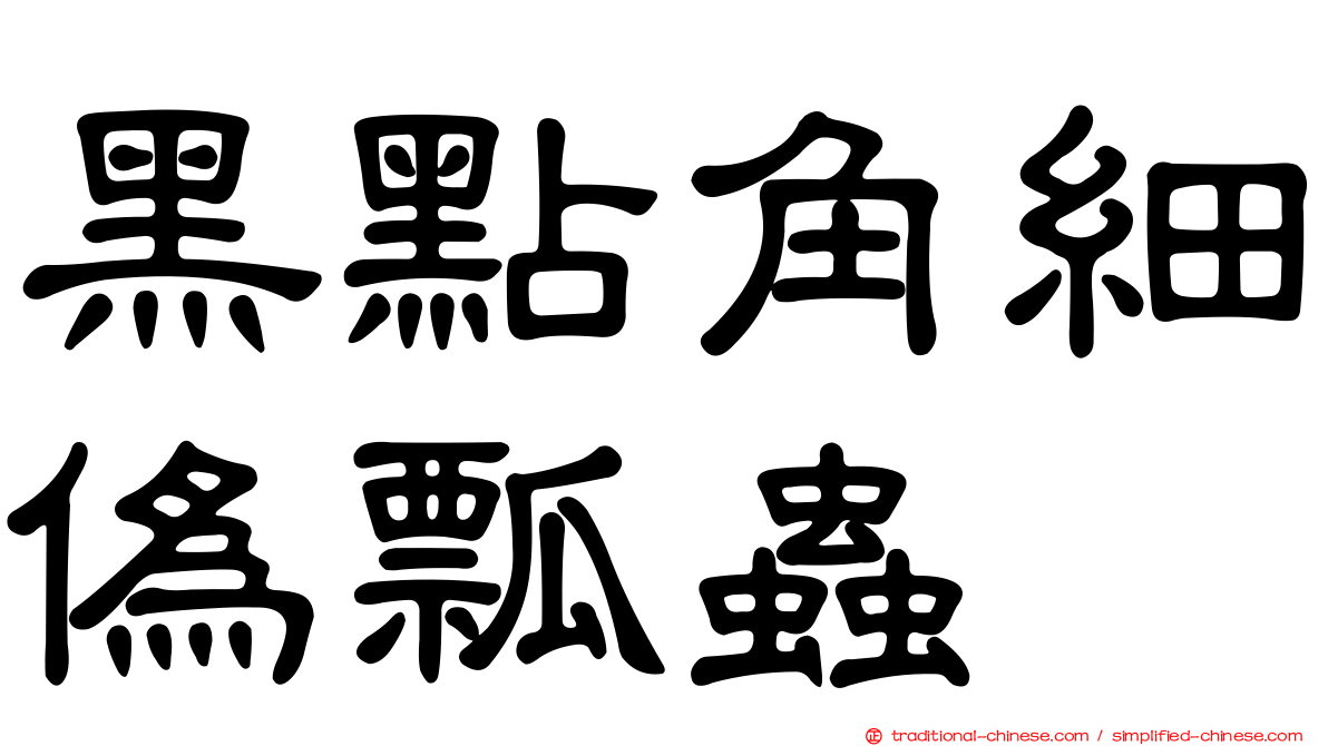 黑點角細偽瓢蟲