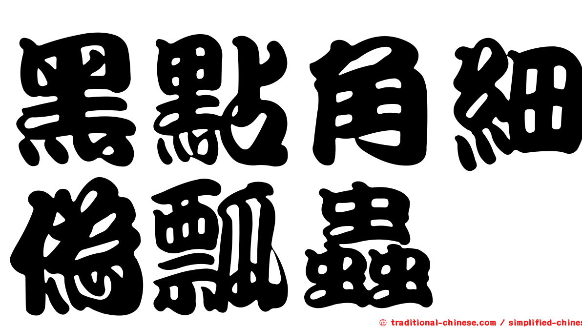 黑點角細偽瓢蟲