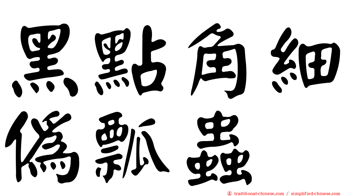 黑點角細偽瓢蟲