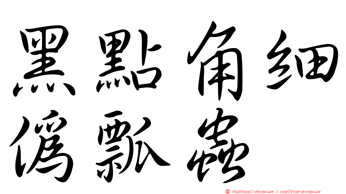 黑點角細偽瓢蟲