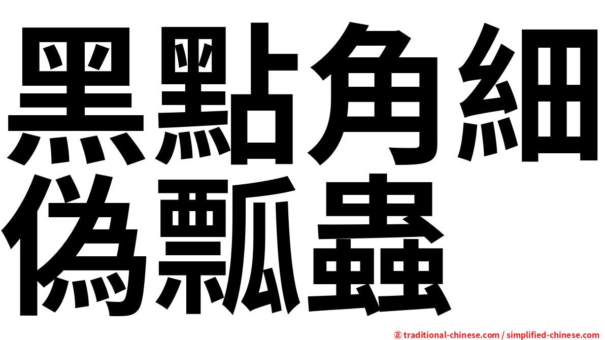 黑點角細偽瓢蟲