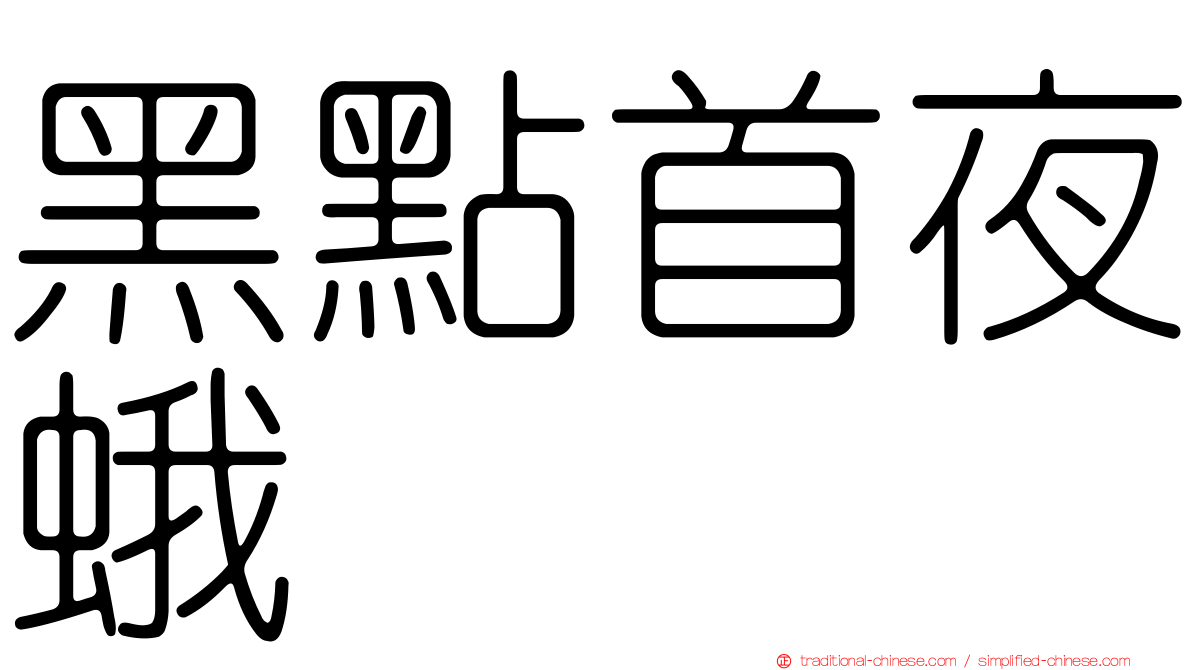 黑點首夜蛾