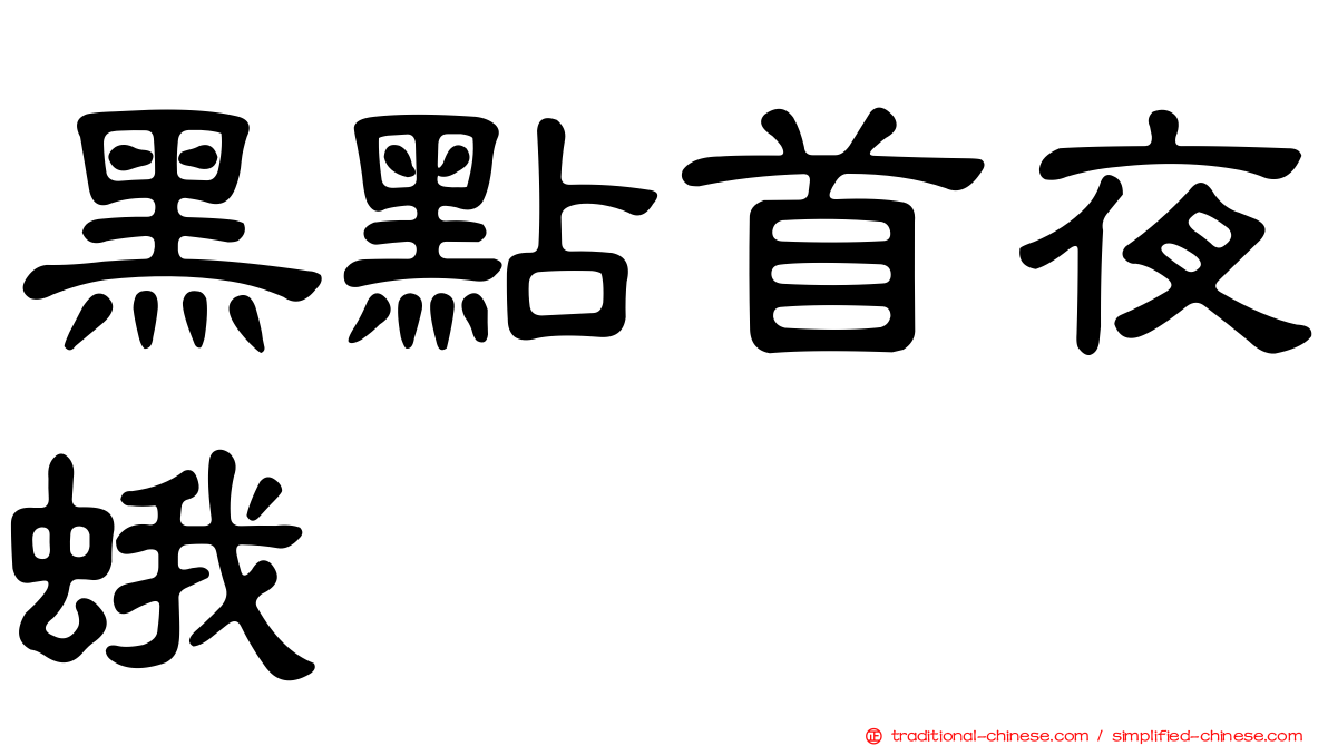 黑點首夜蛾