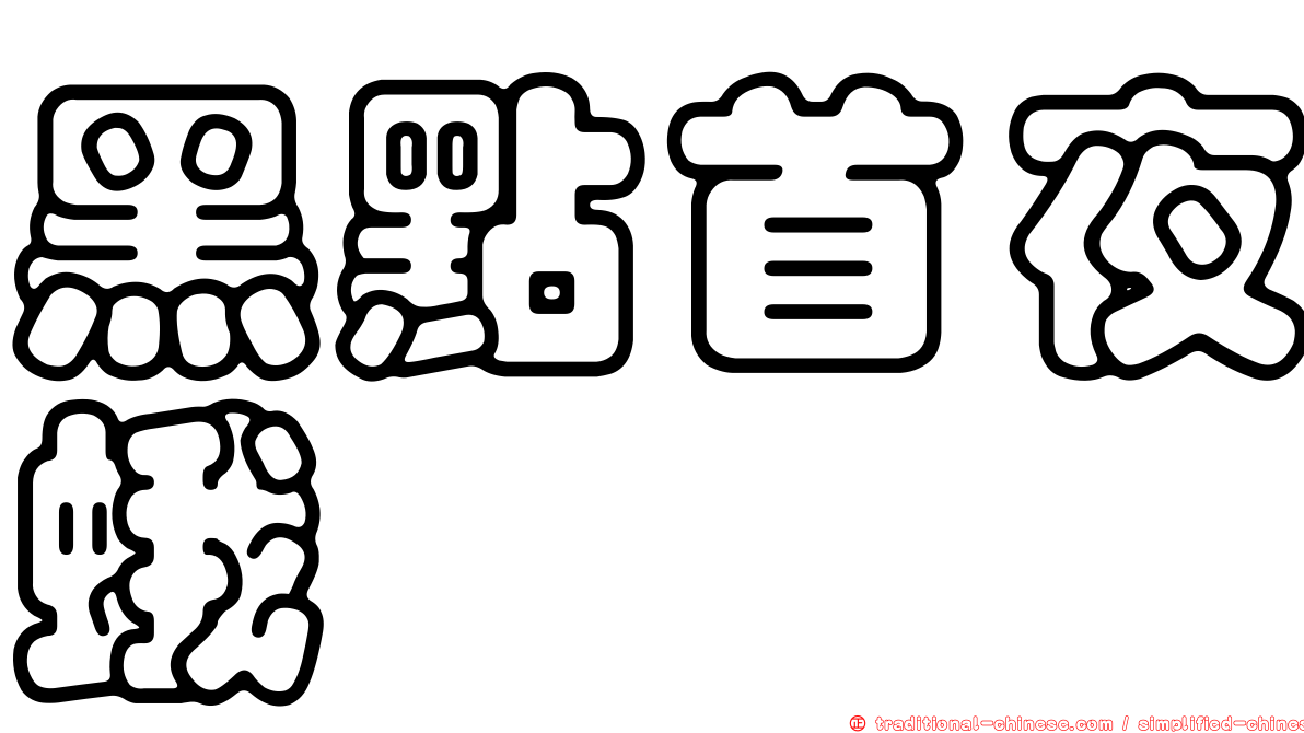 黑點首夜蛾