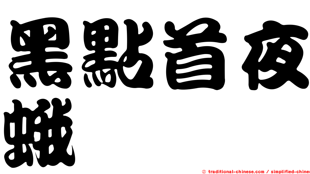 黑點首夜蛾