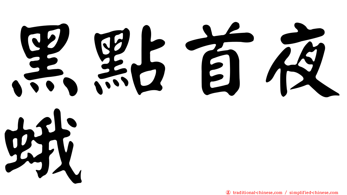 黑點首夜蛾