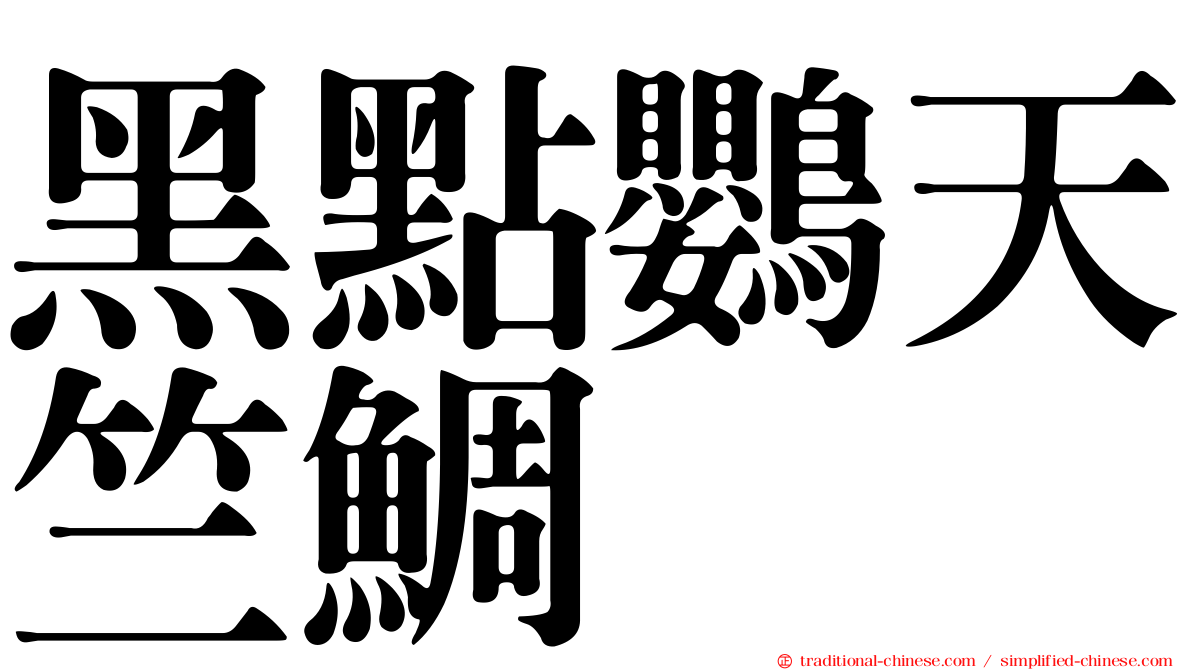 黑點鸚天竺鯛