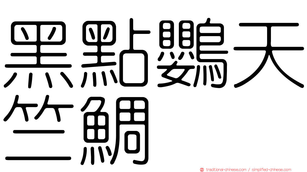 黑點鸚天竺鯛