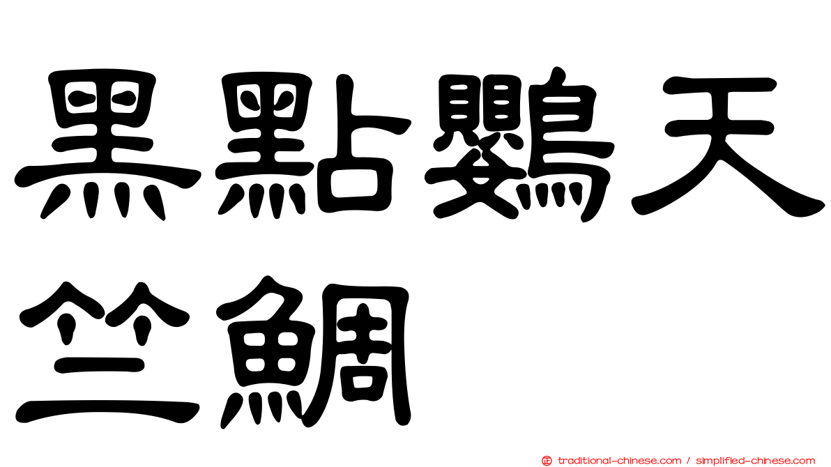黑點鸚天竺鯛