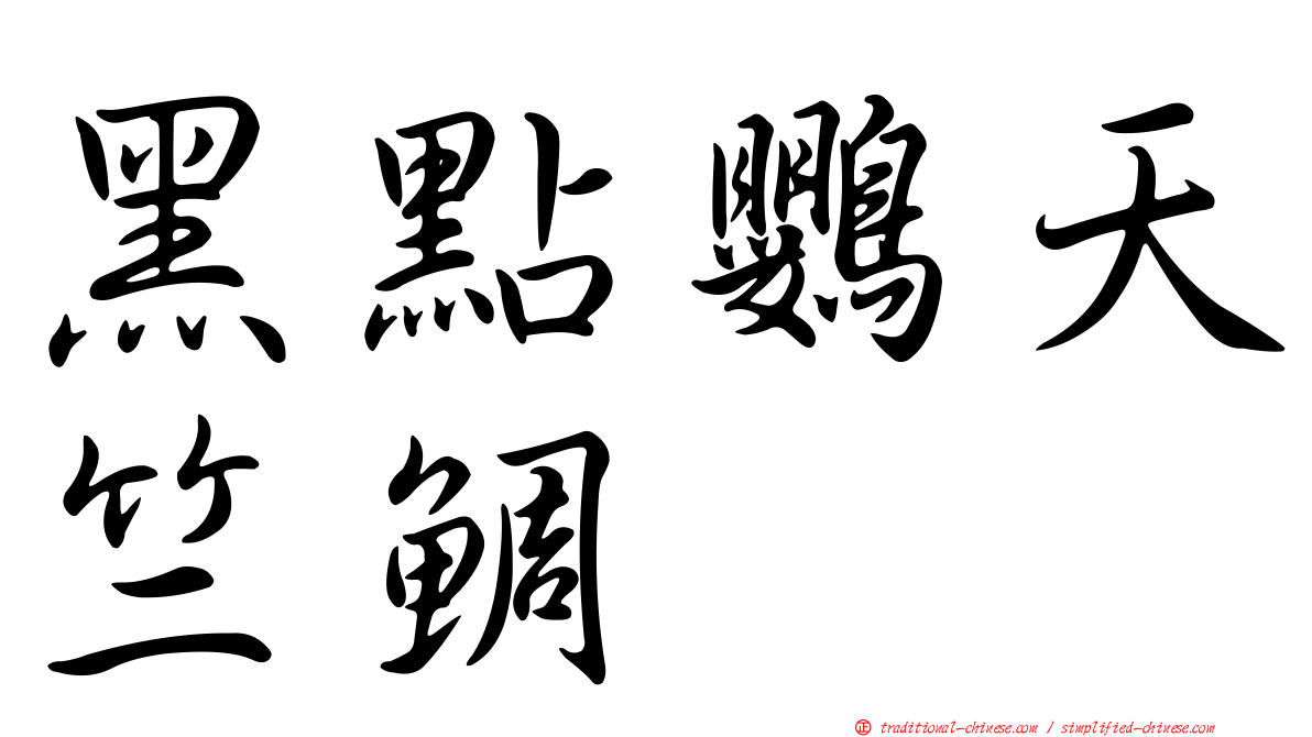 黑點鸚天竺鯛