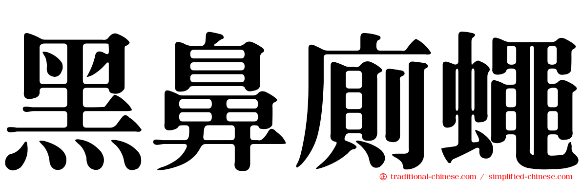 黑鼻廁蠅