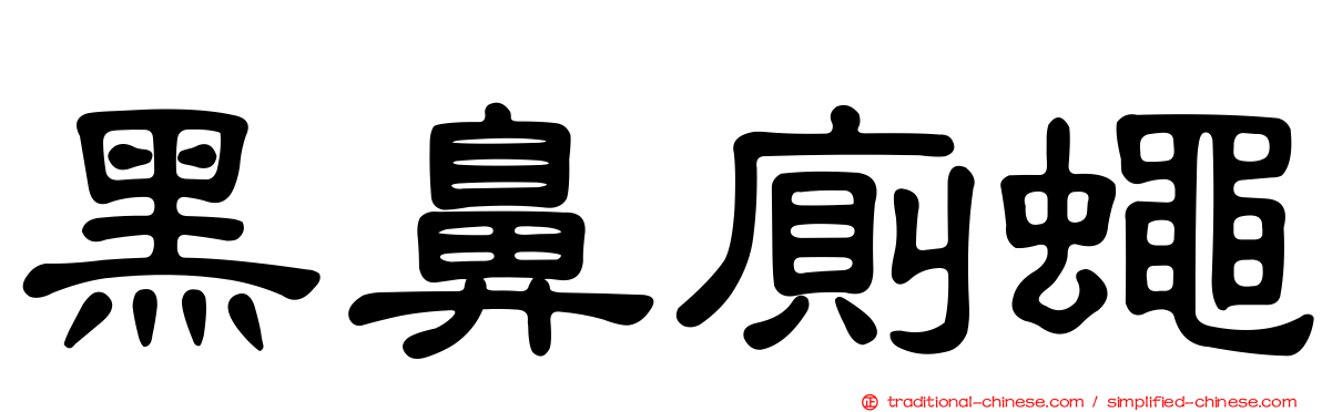 黑鼻廁蠅