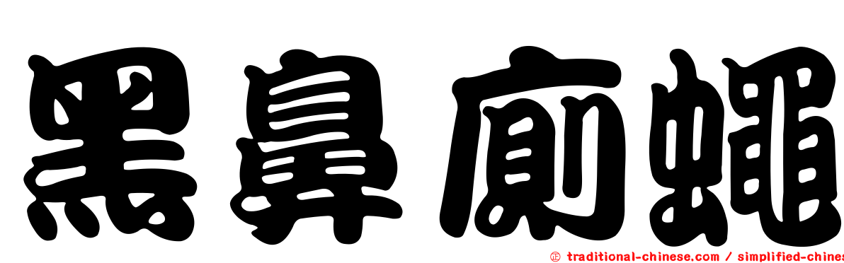 黑鼻廁蠅