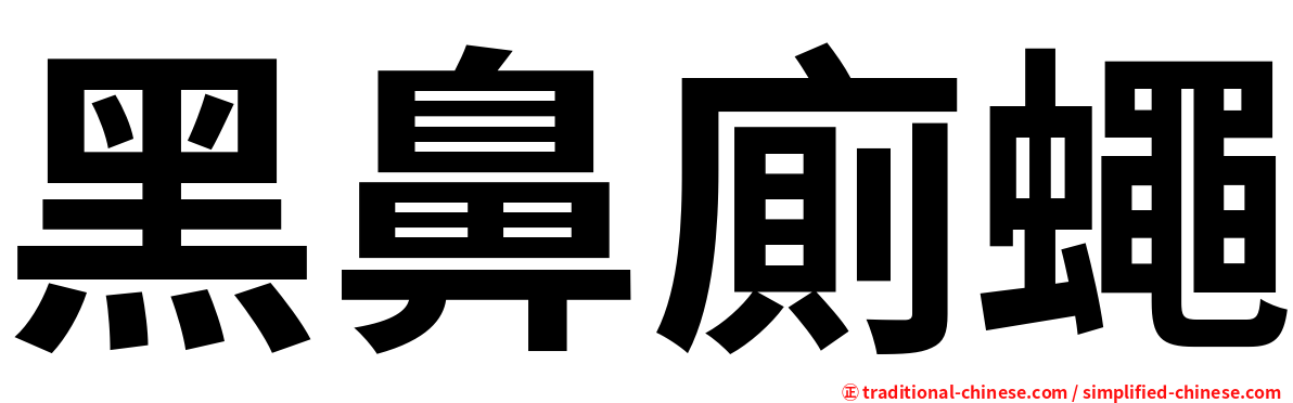黑鼻廁蠅