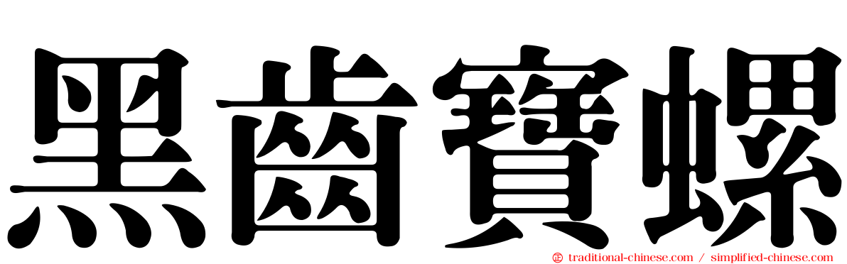 黑齒寶螺