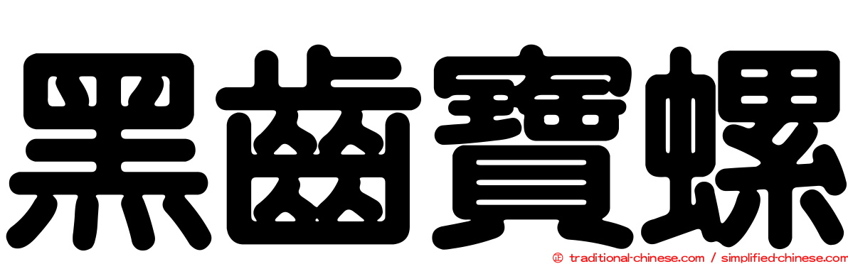 黑齒寶螺