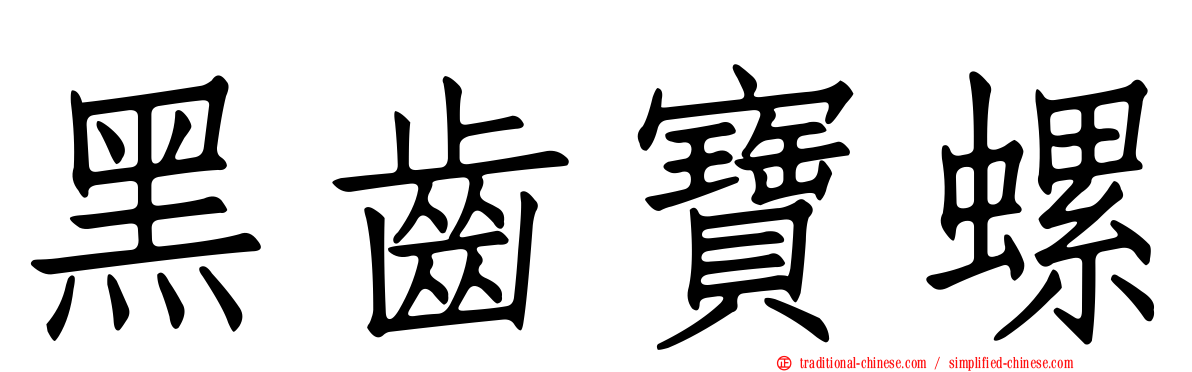 黑齒寶螺