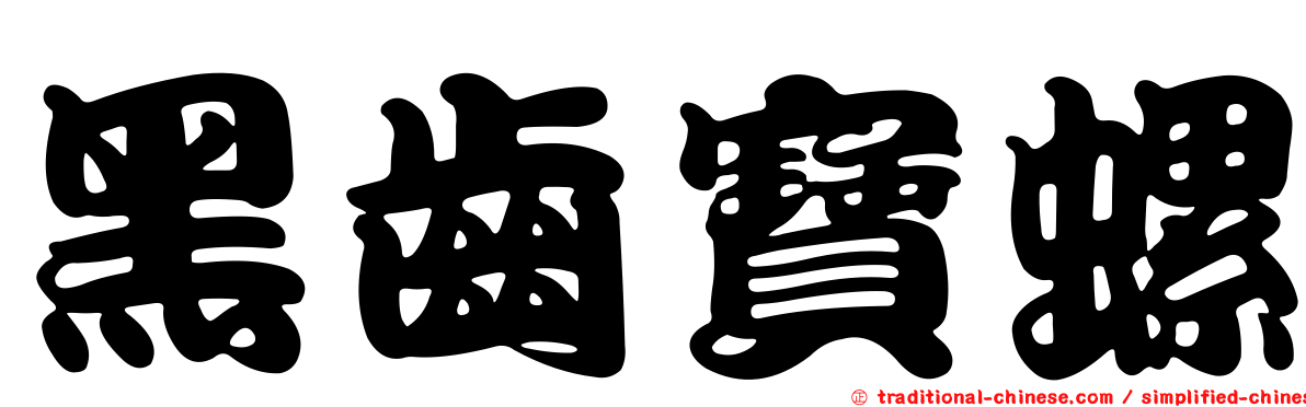 黑齒寶螺