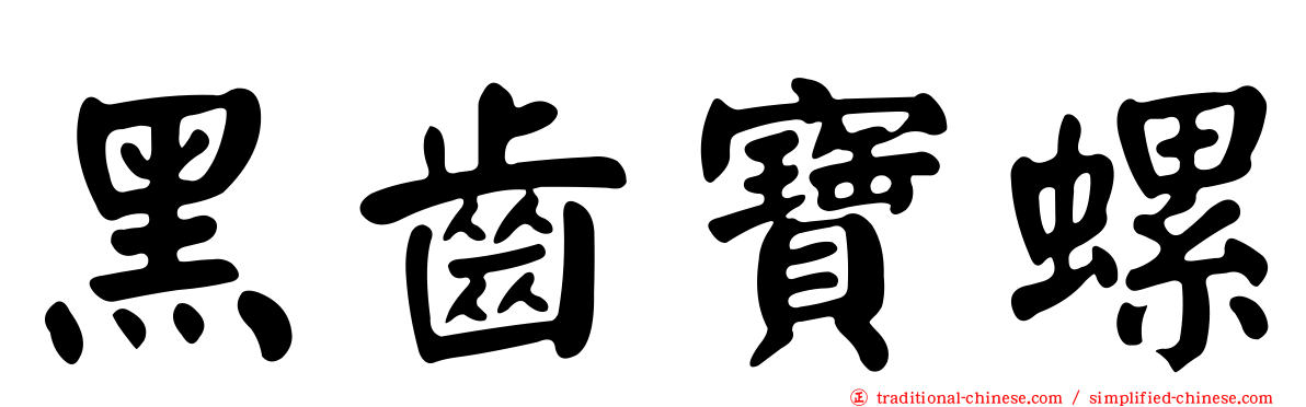 黑齒寶螺