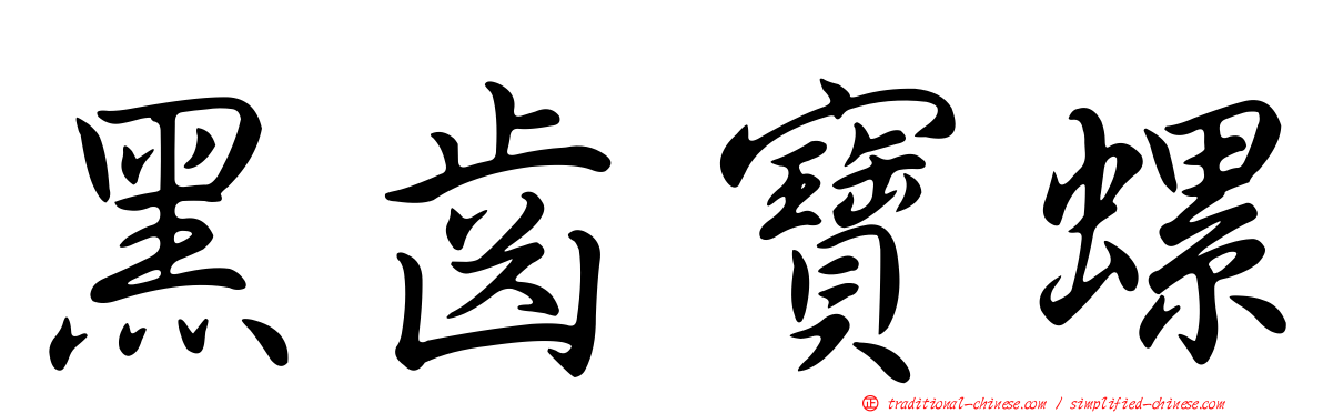 黑齒寶螺