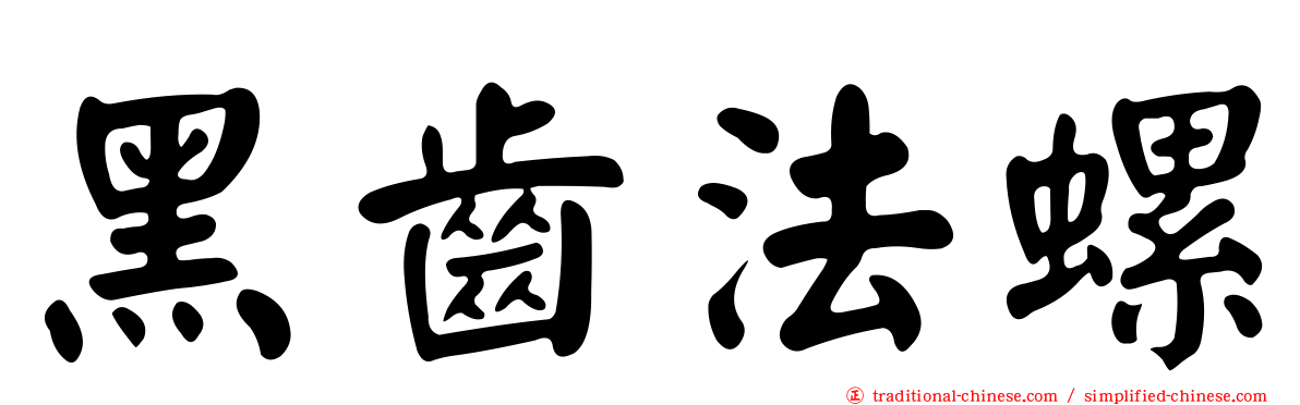 黑齒法螺