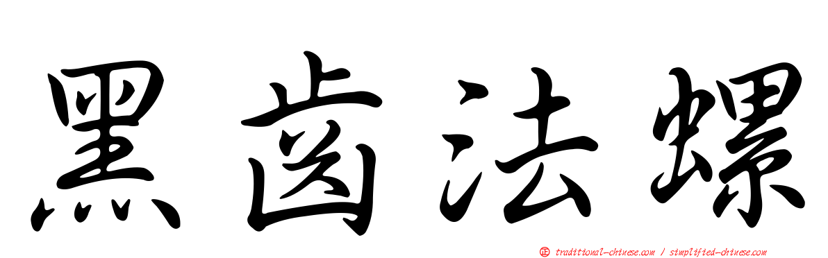 黑齒法螺
