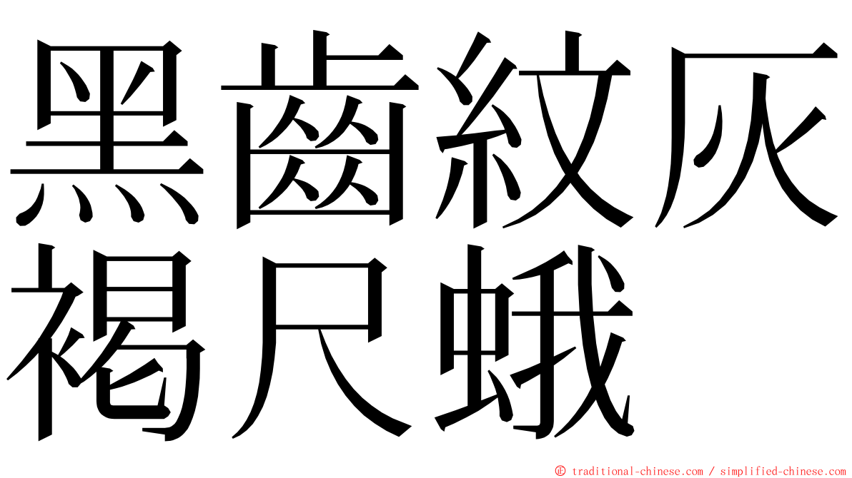 黑齒紋灰褐尺蛾 ming font