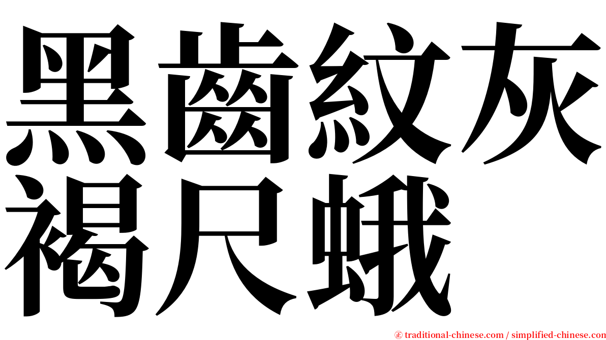 黑齒紋灰褐尺蛾 serif font