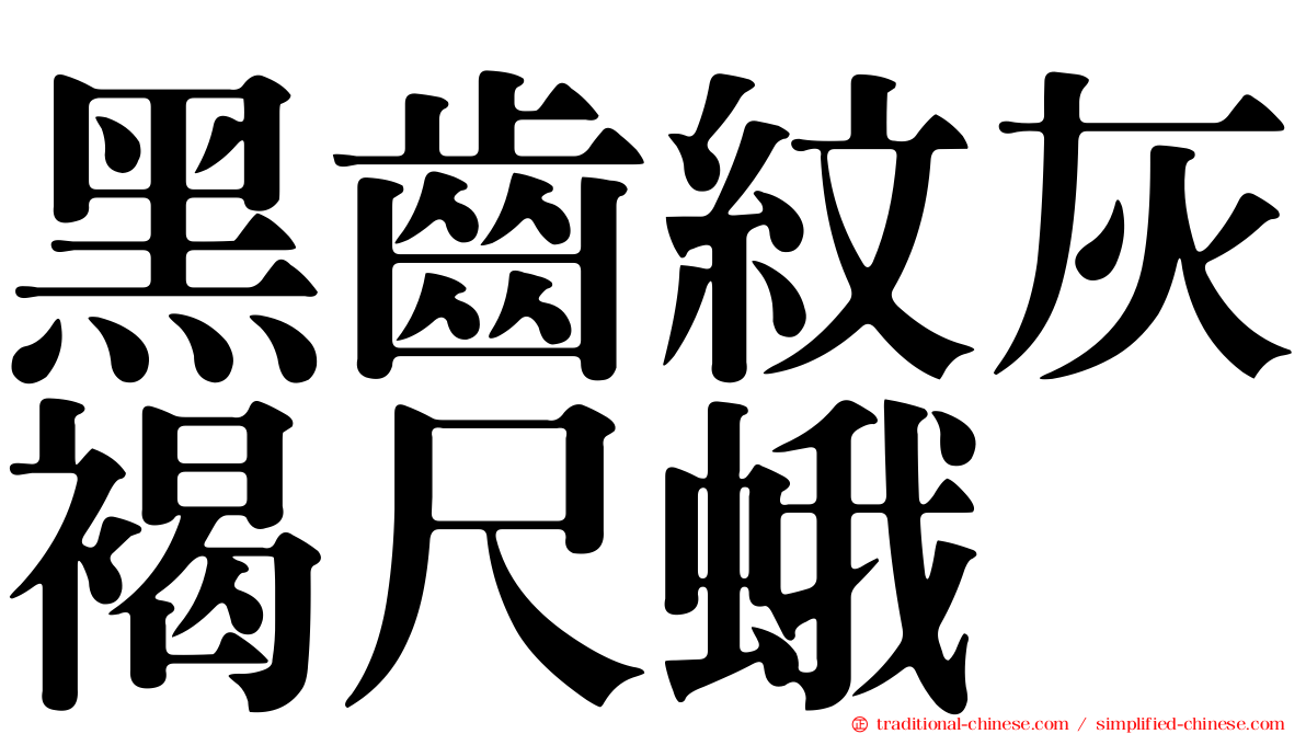 黑齒紋灰褐尺蛾