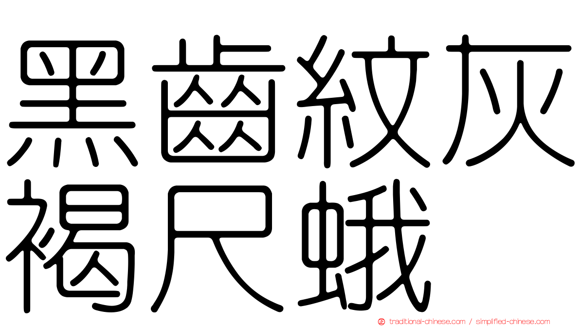 黑齒紋灰褐尺蛾