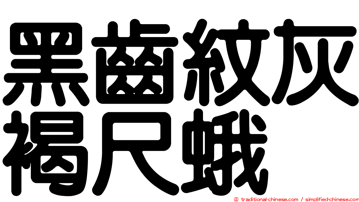 黑齒紋灰褐尺蛾