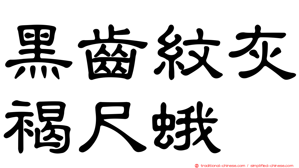 黑齒紋灰褐尺蛾