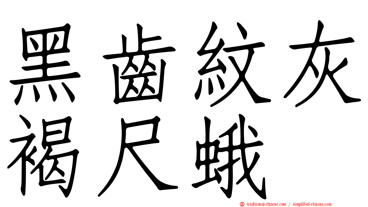 黑齒紋灰褐尺蛾