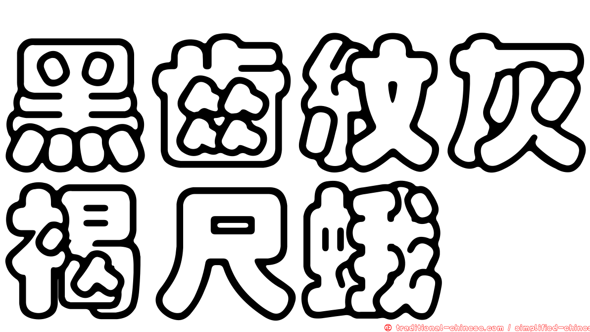 黑齒紋灰褐尺蛾