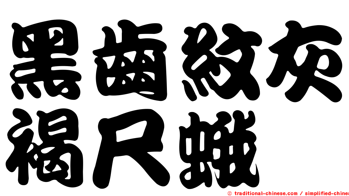 黑齒紋灰褐尺蛾