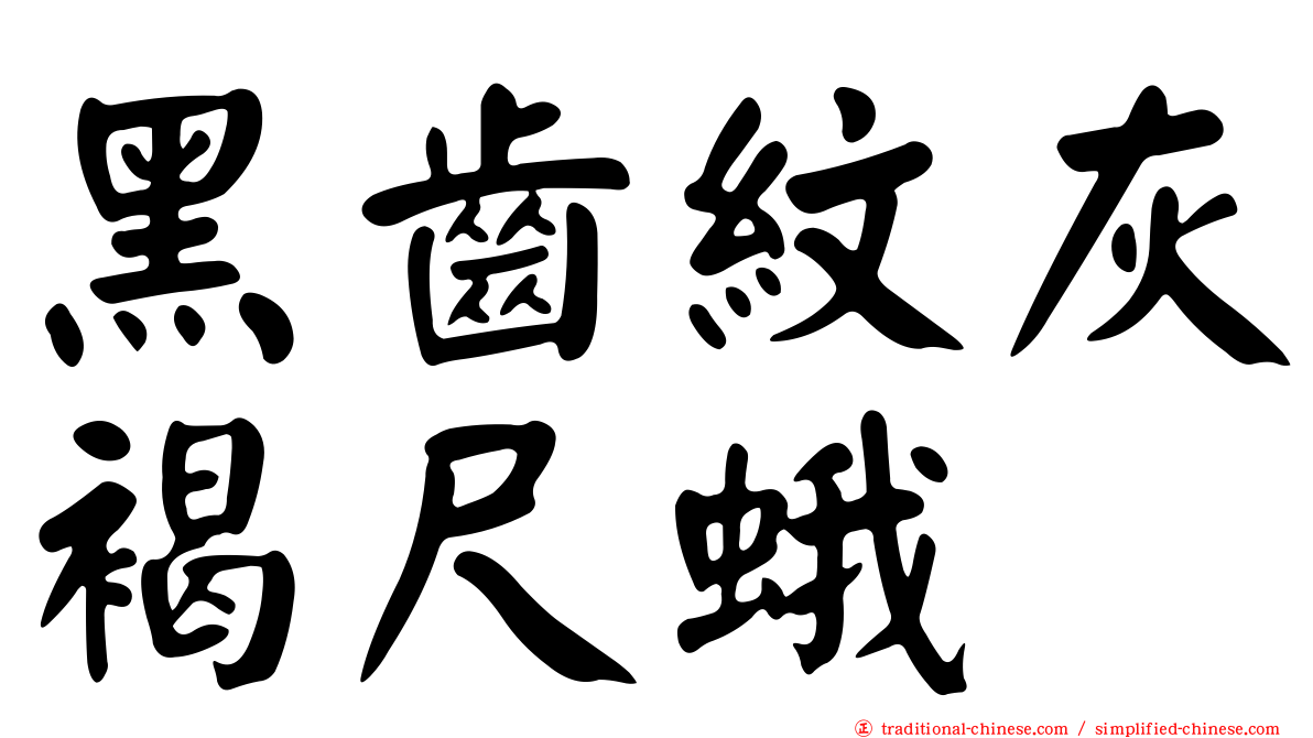 黑齒紋灰褐尺蛾