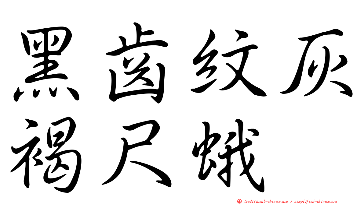 黑齒紋灰褐尺蛾
