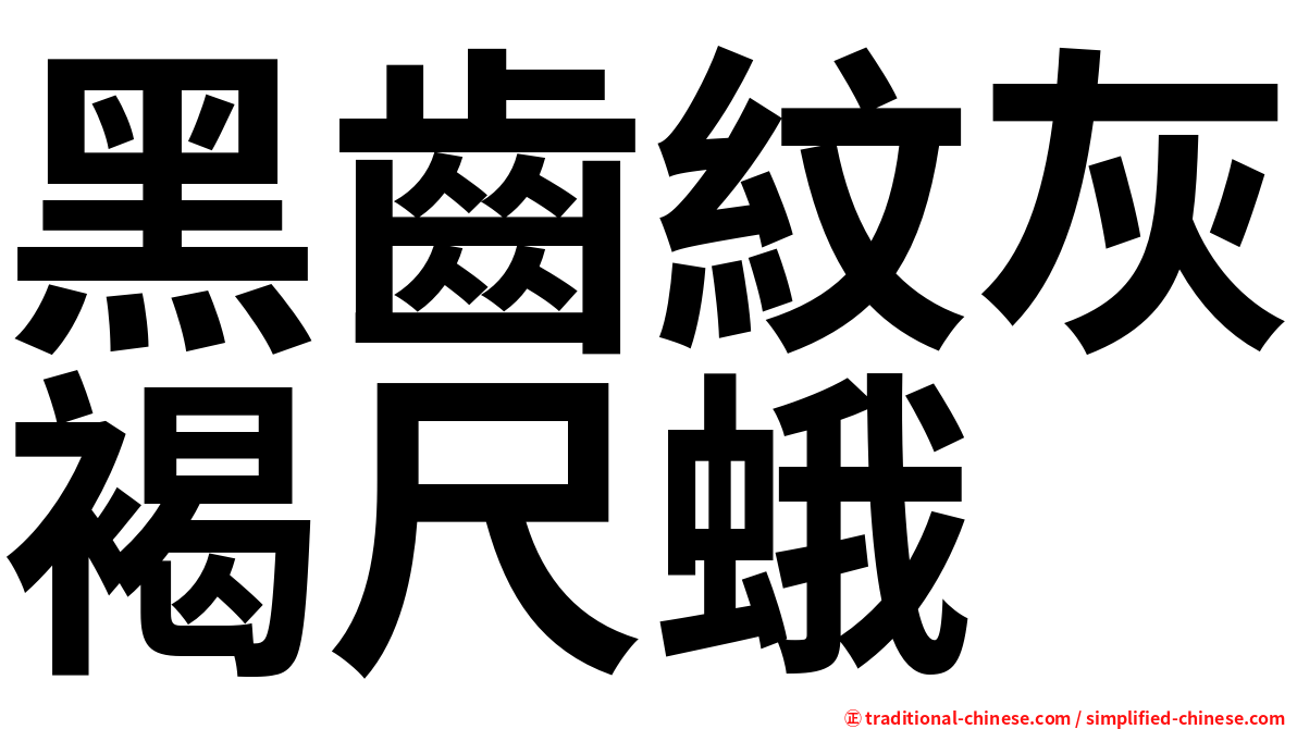 黑齒紋灰褐尺蛾
