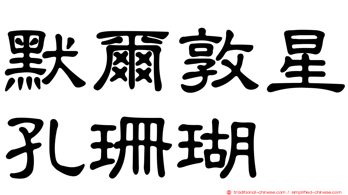 默爾敦星孔珊瑚