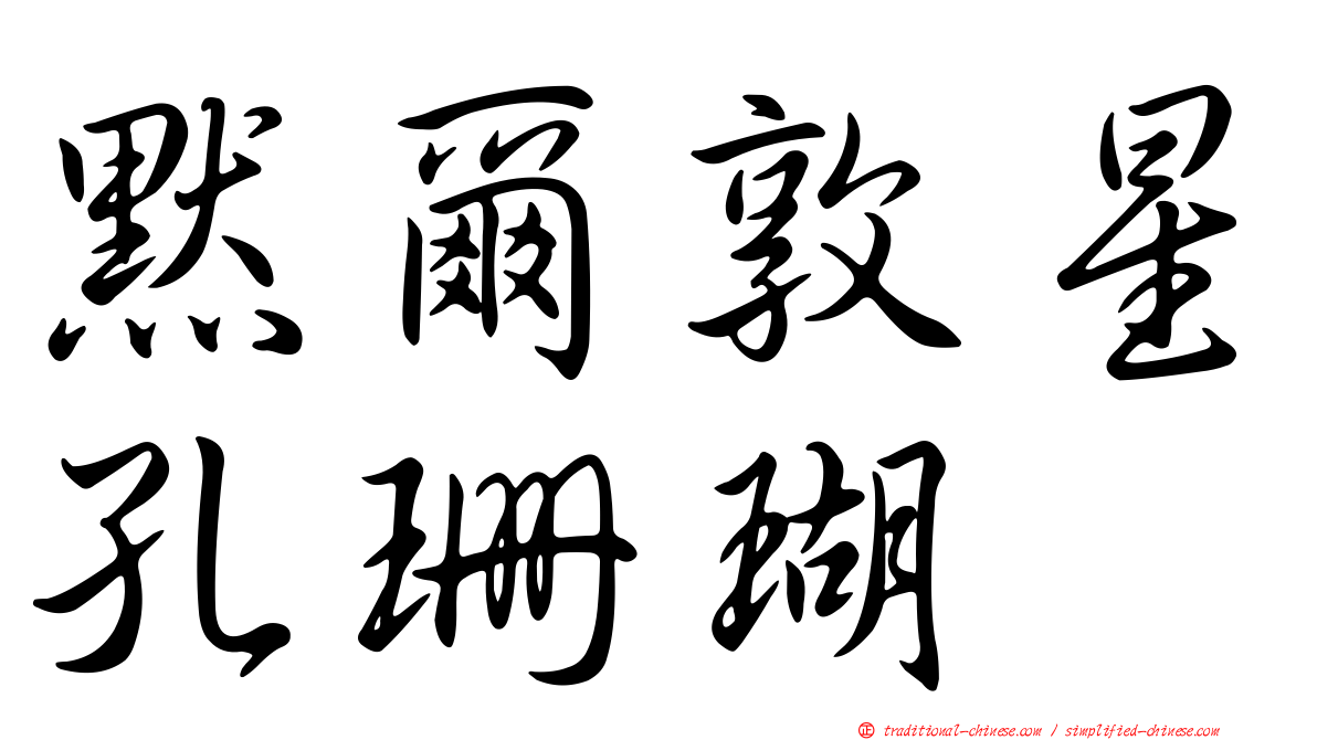 默爾敦星孔珊瑚
