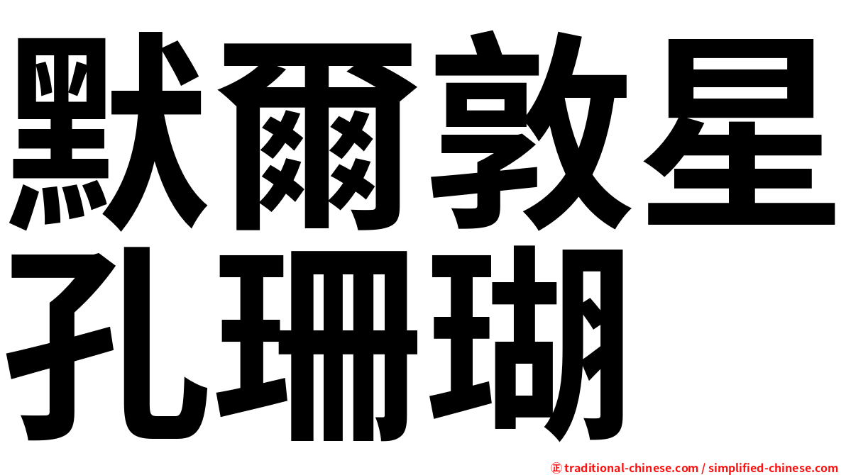 默爾敦星孔珊瑚