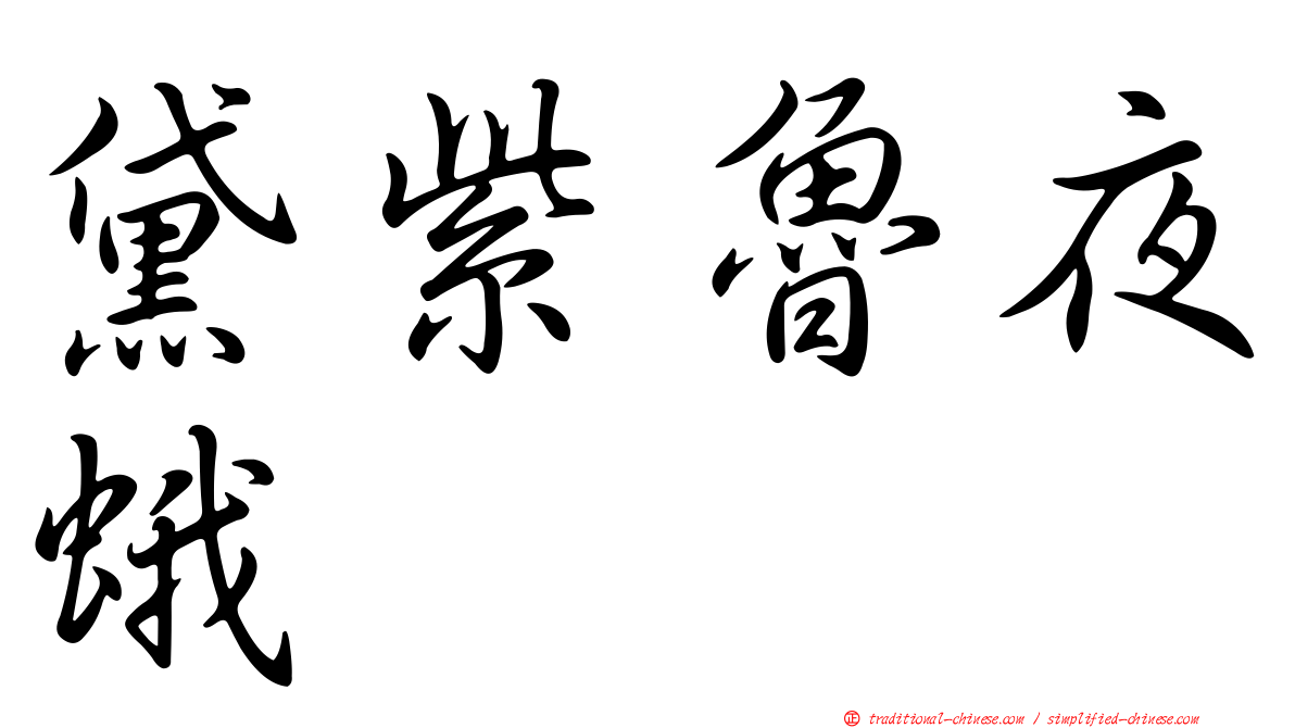 黛紫魯夜蛾