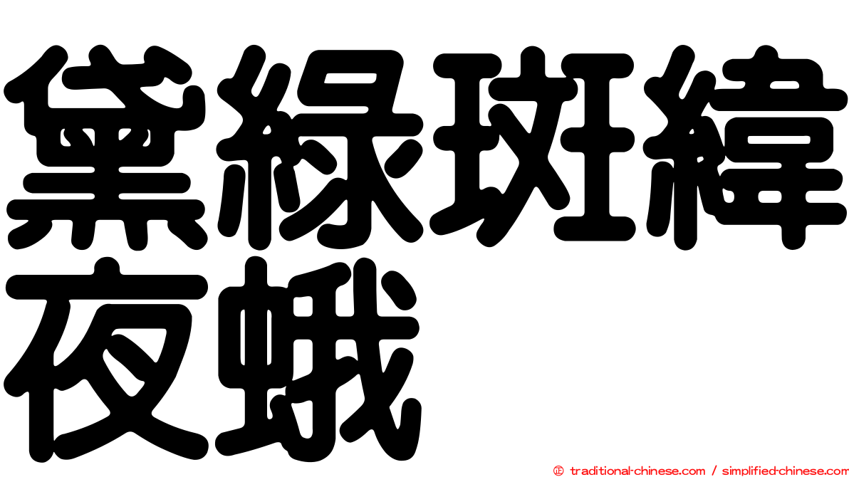 黛綠斑緯夜蛾