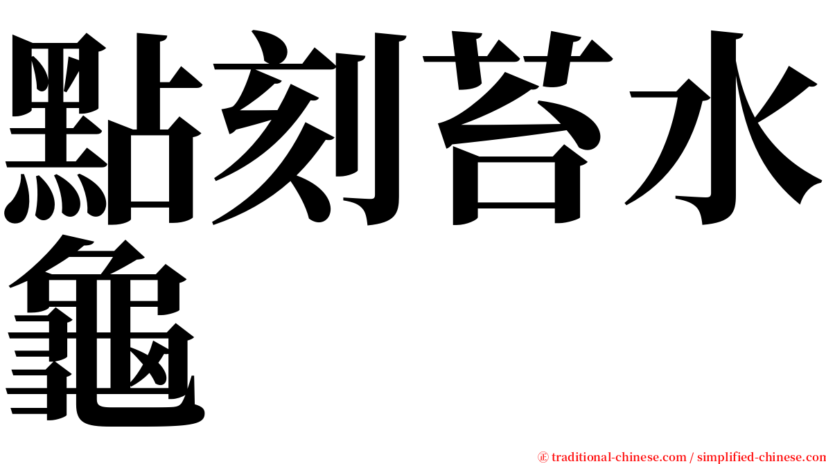 點刻苔水龜 serif font