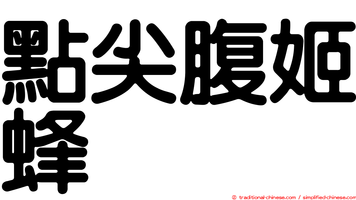 點尖腹姬蜂