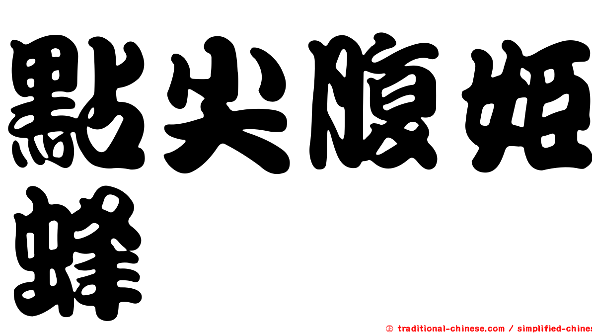 點尖腹姬蜂